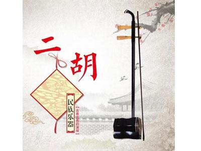 招聘大理二胡家教老师